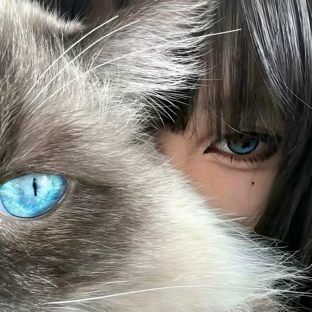欣.