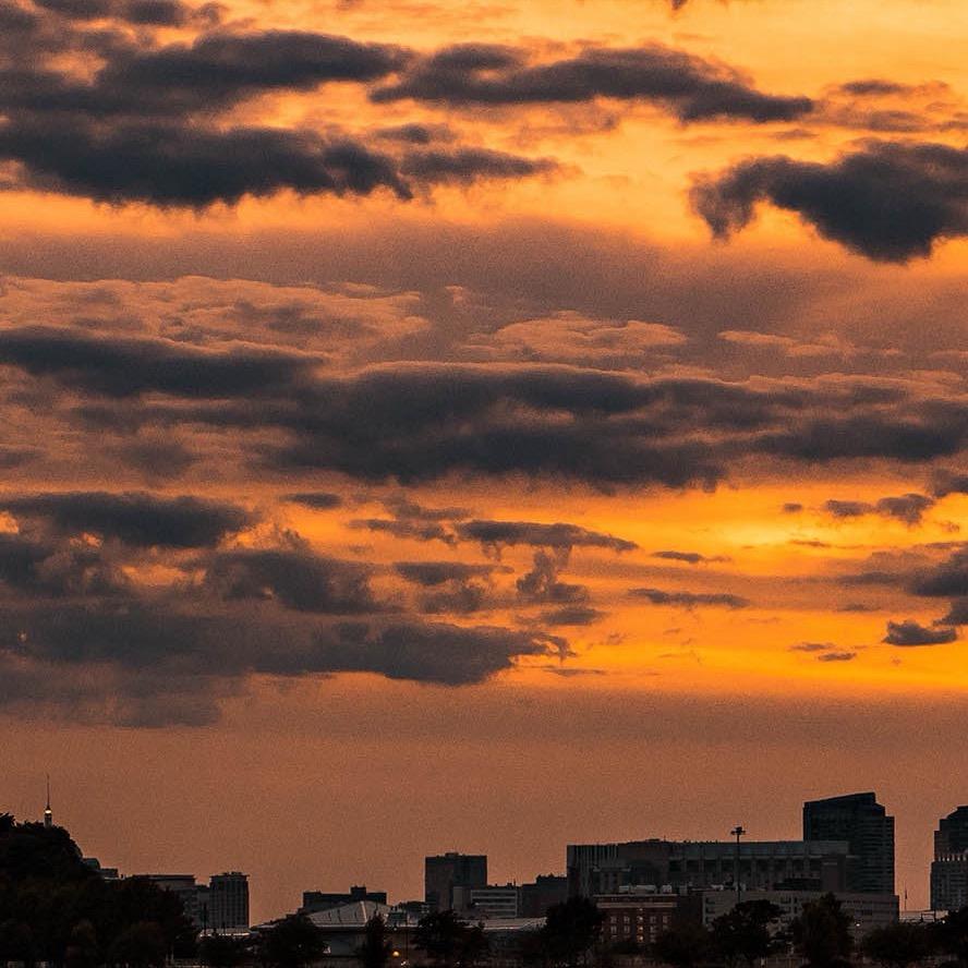 空城💋
