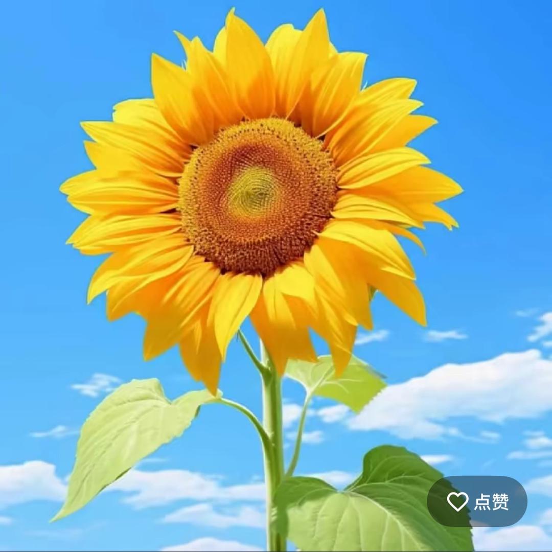 善良的心