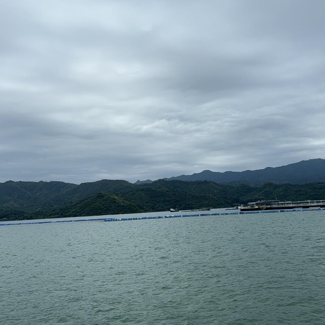 柒夏