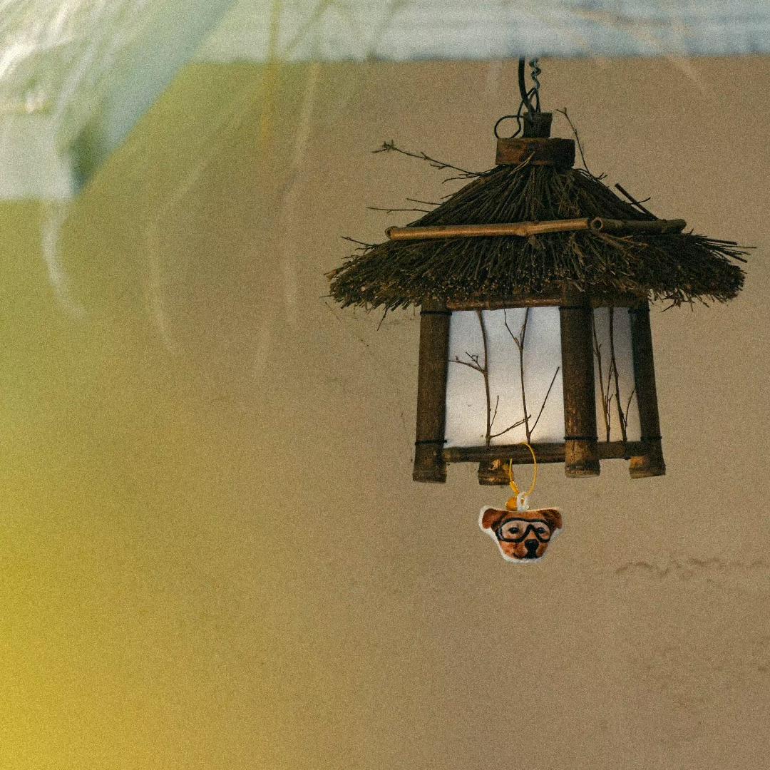 ⛰️🎍山竹7块🧊