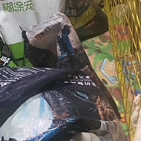 为了你们我要努力🐕