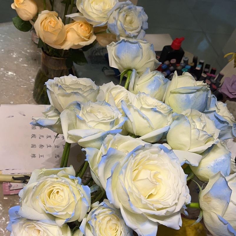 西西青菜