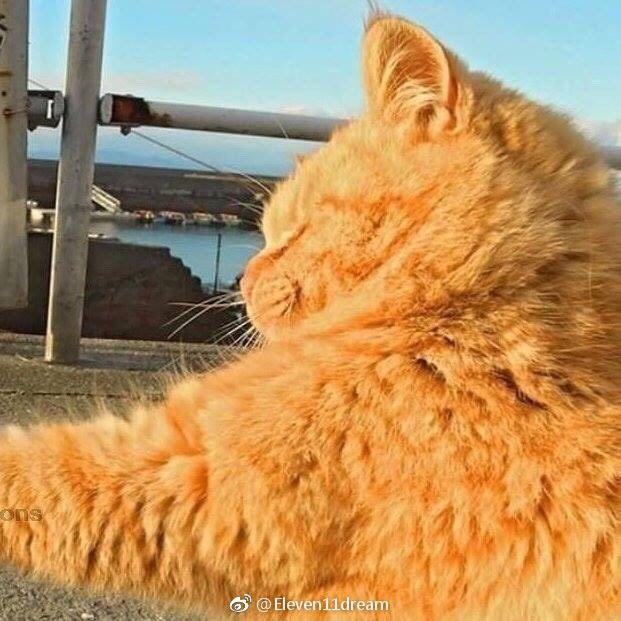 陈大泽