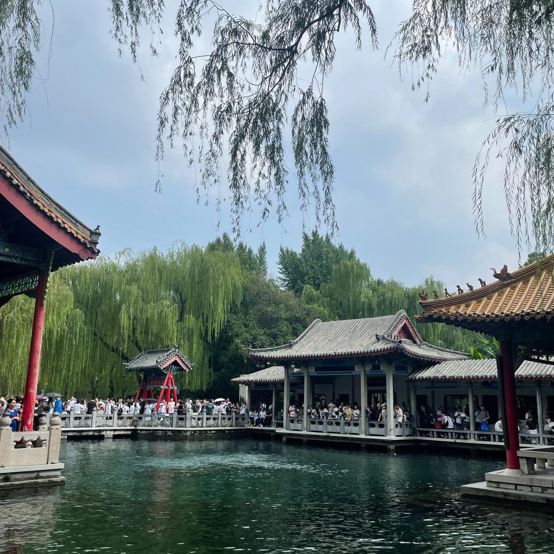 大婷子