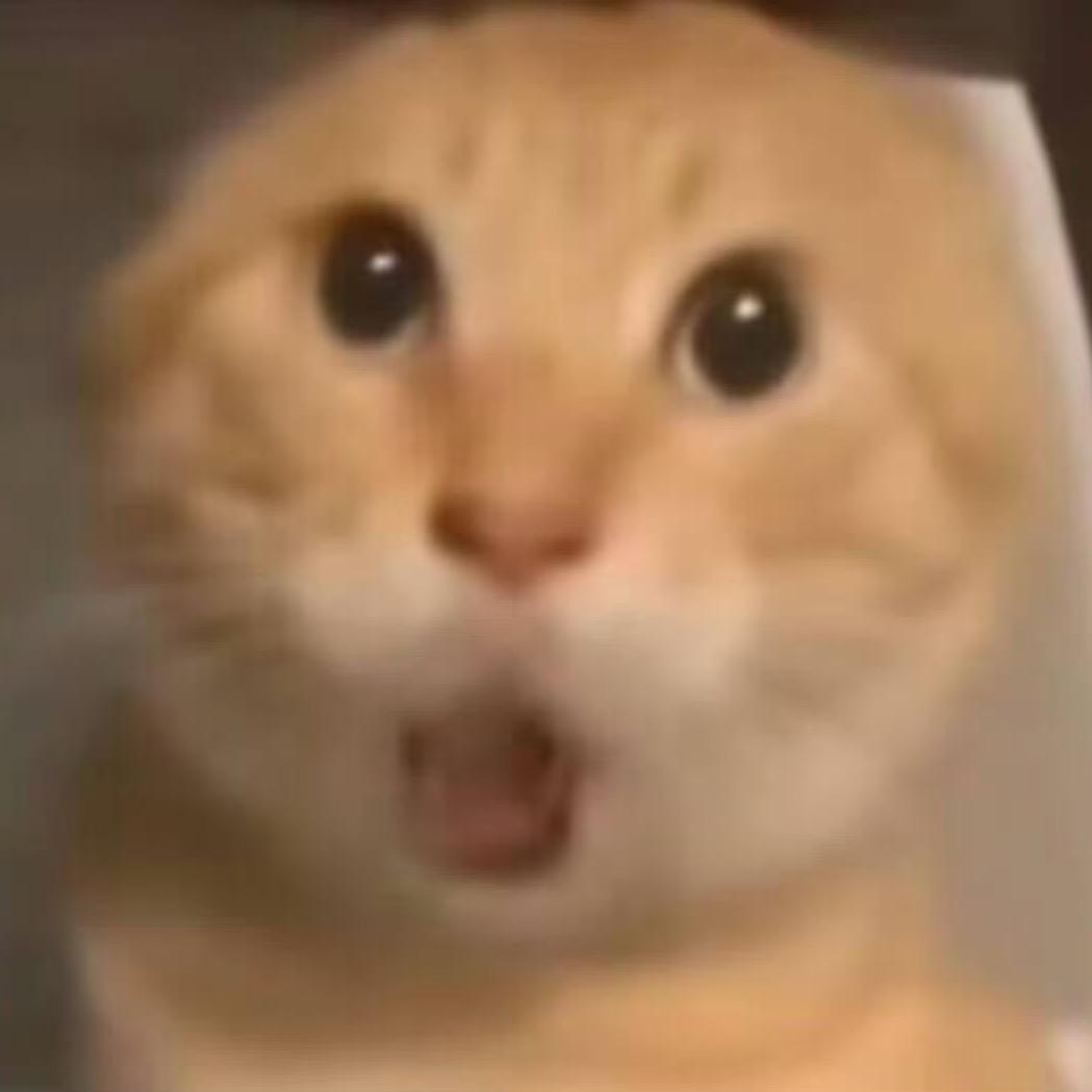 哈基咪喔南北绿豆ฅ'ω'ฅ