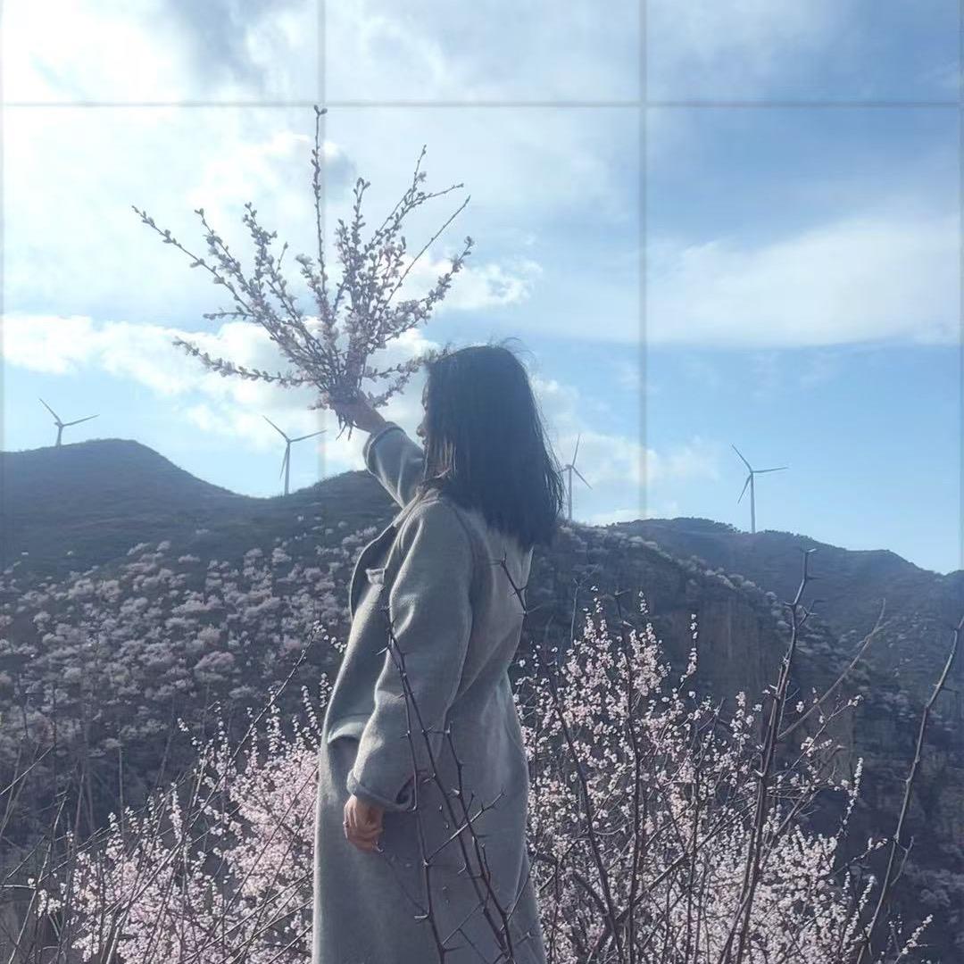 妮宝呀