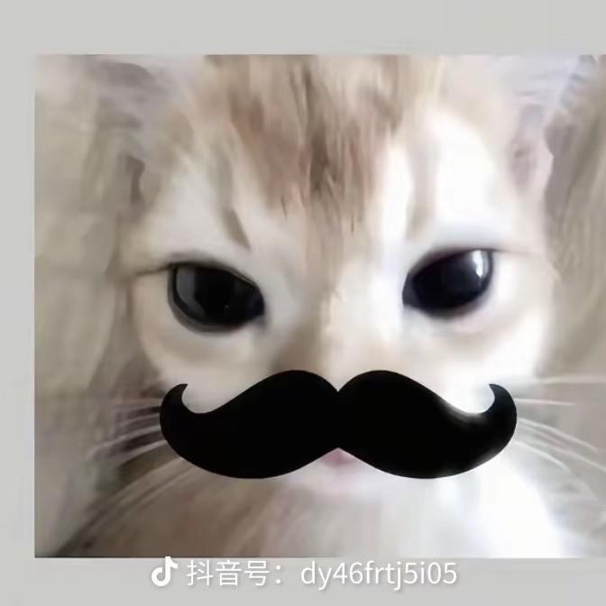 冰庆百货