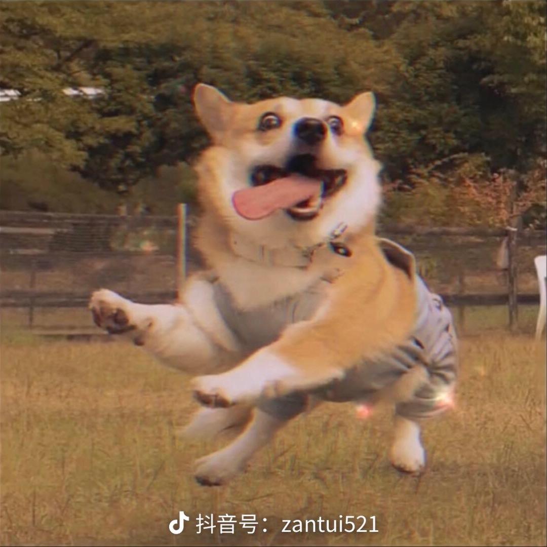 Aຼgonᩚi爱过你