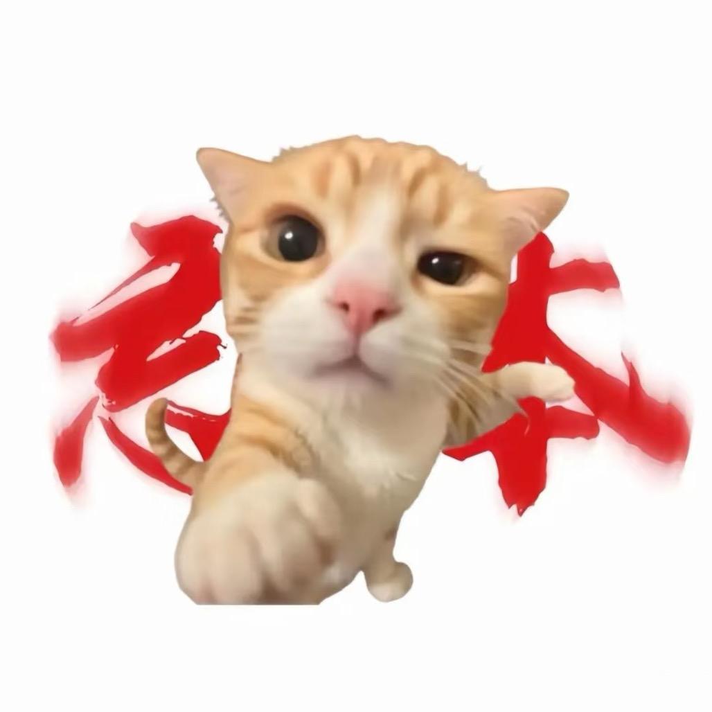 带派猫meme