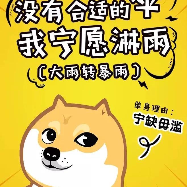 风中的遗憾