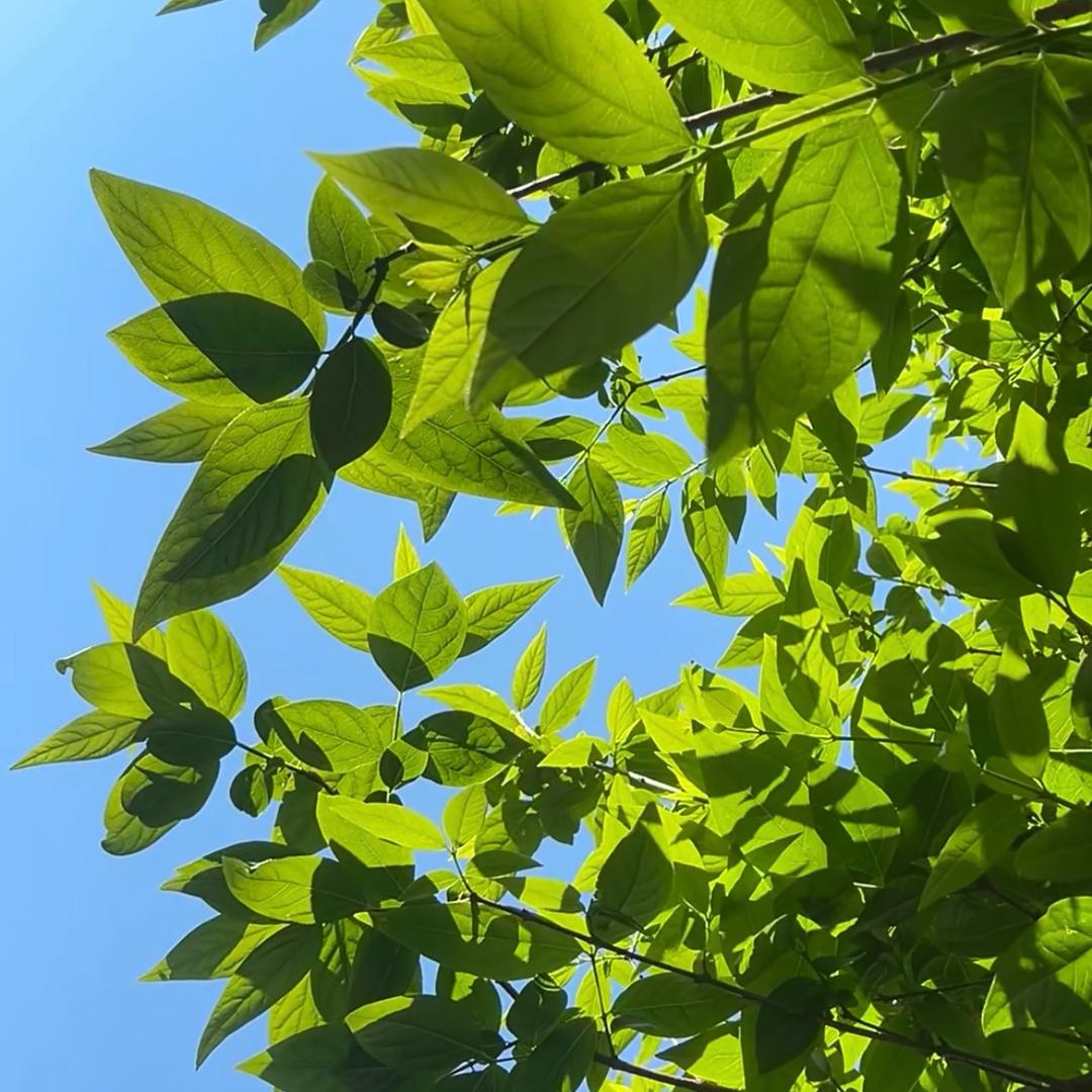 小俞等等