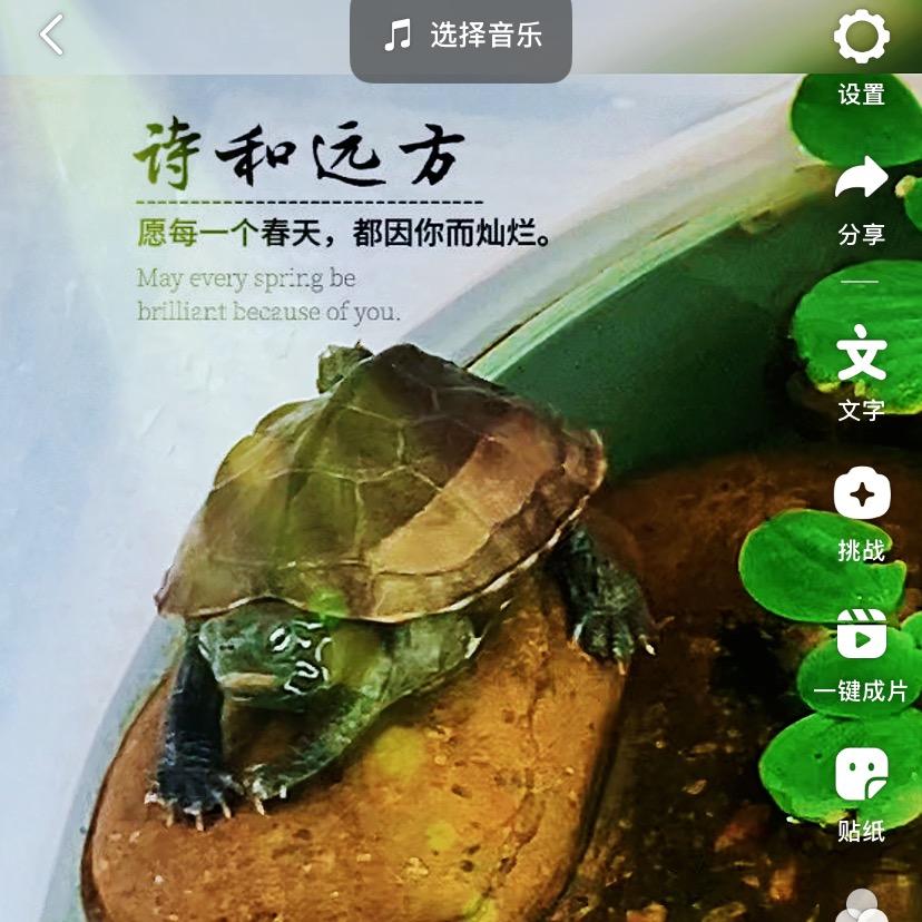 亲子小世界