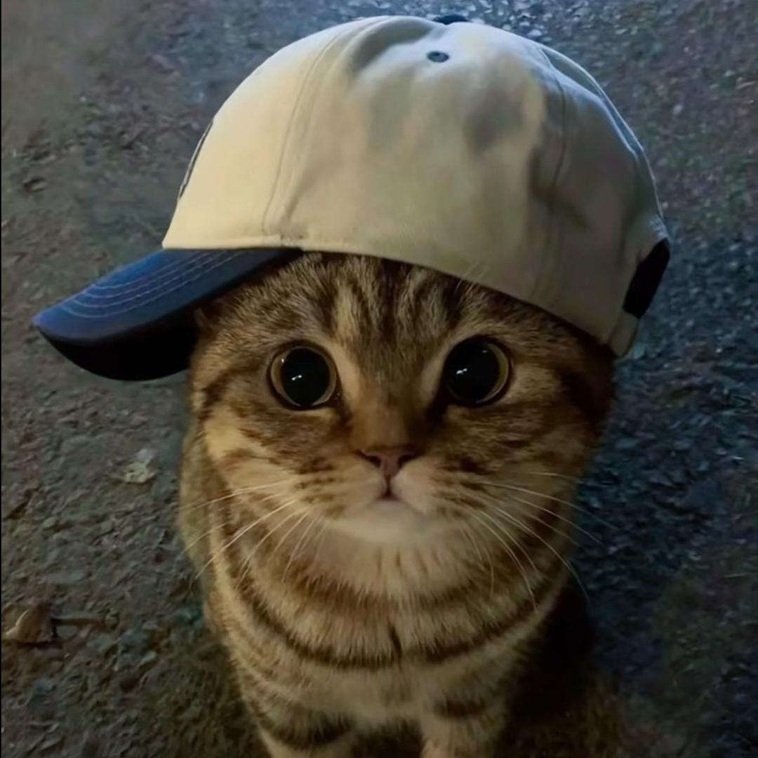 周晚意