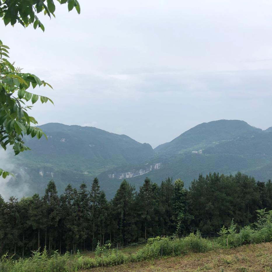骚年小伙