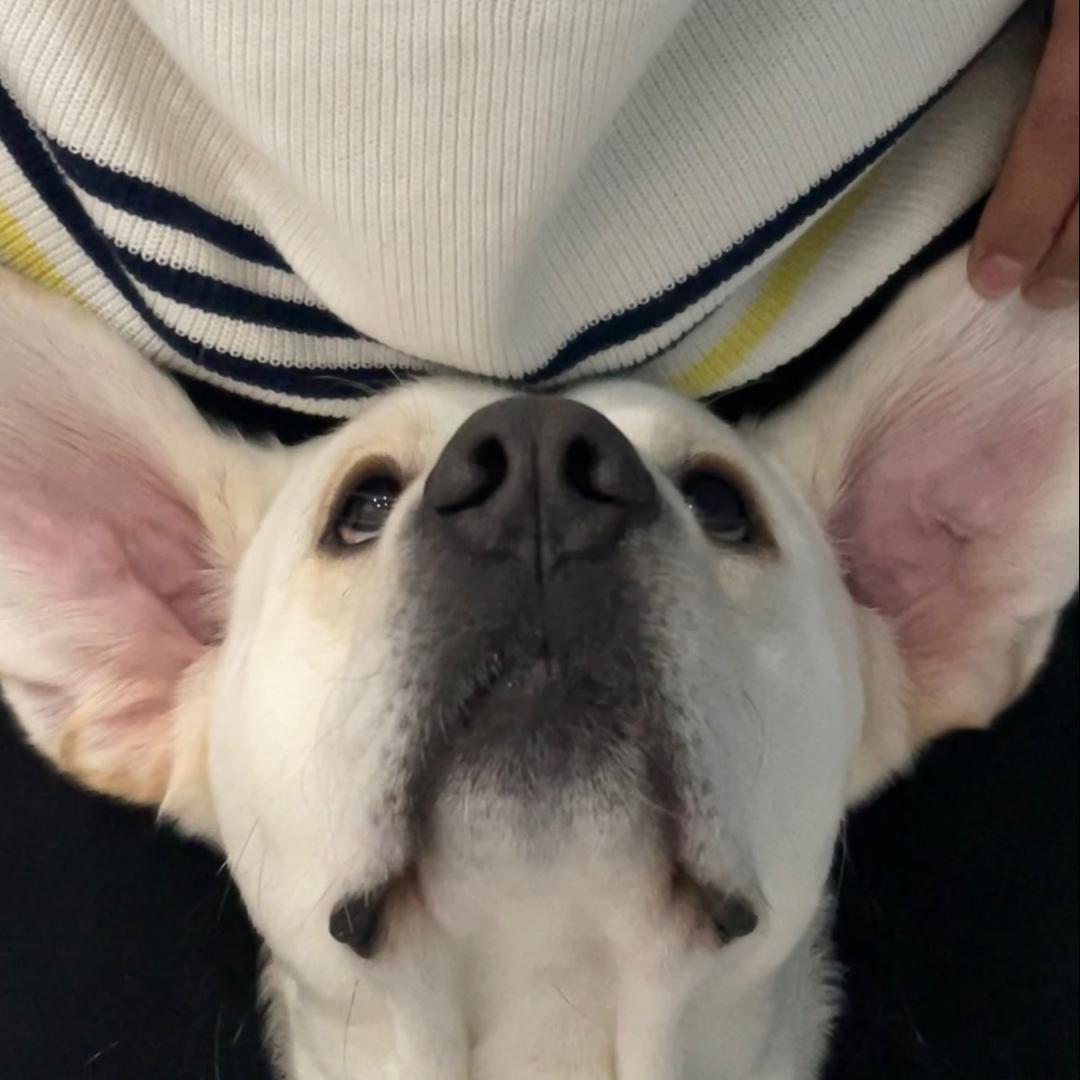 lucky在这呢～
