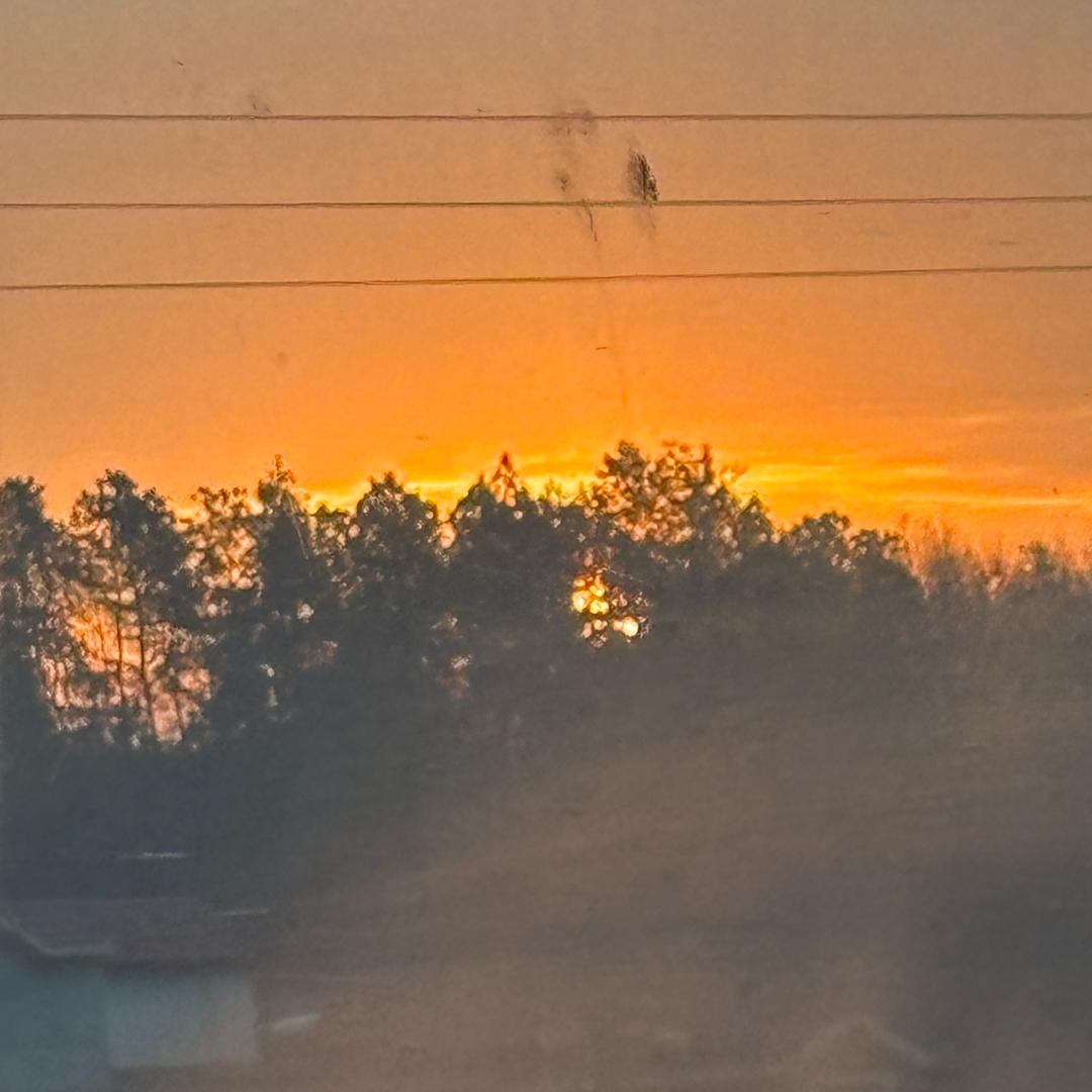 夕泽在看日落