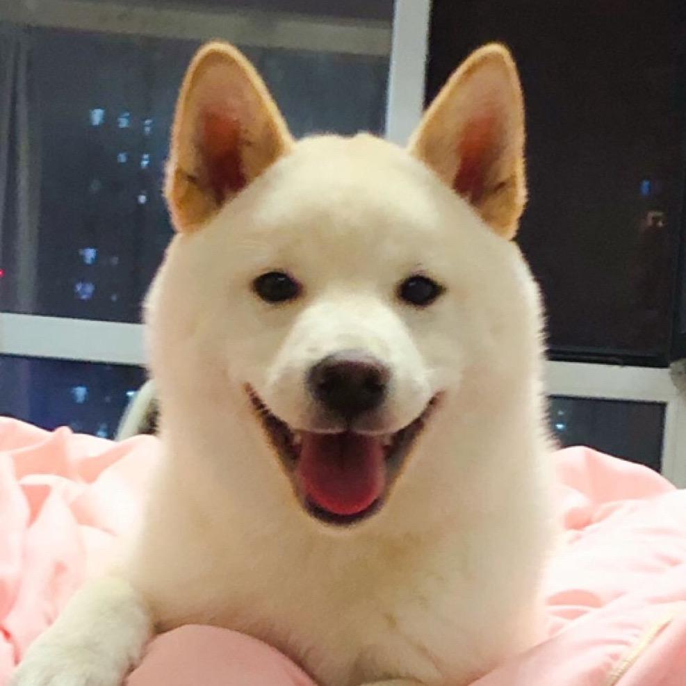 缠腿的小尾巴