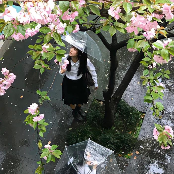 星凌💫