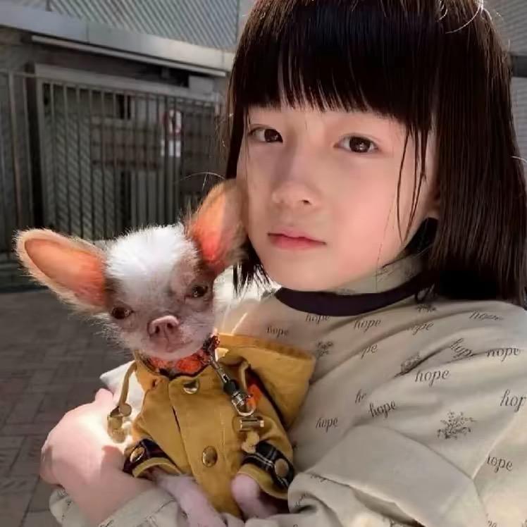 我让世界充满爱