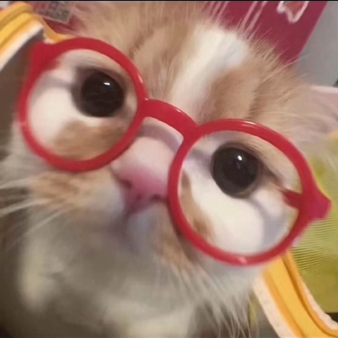 cat..
