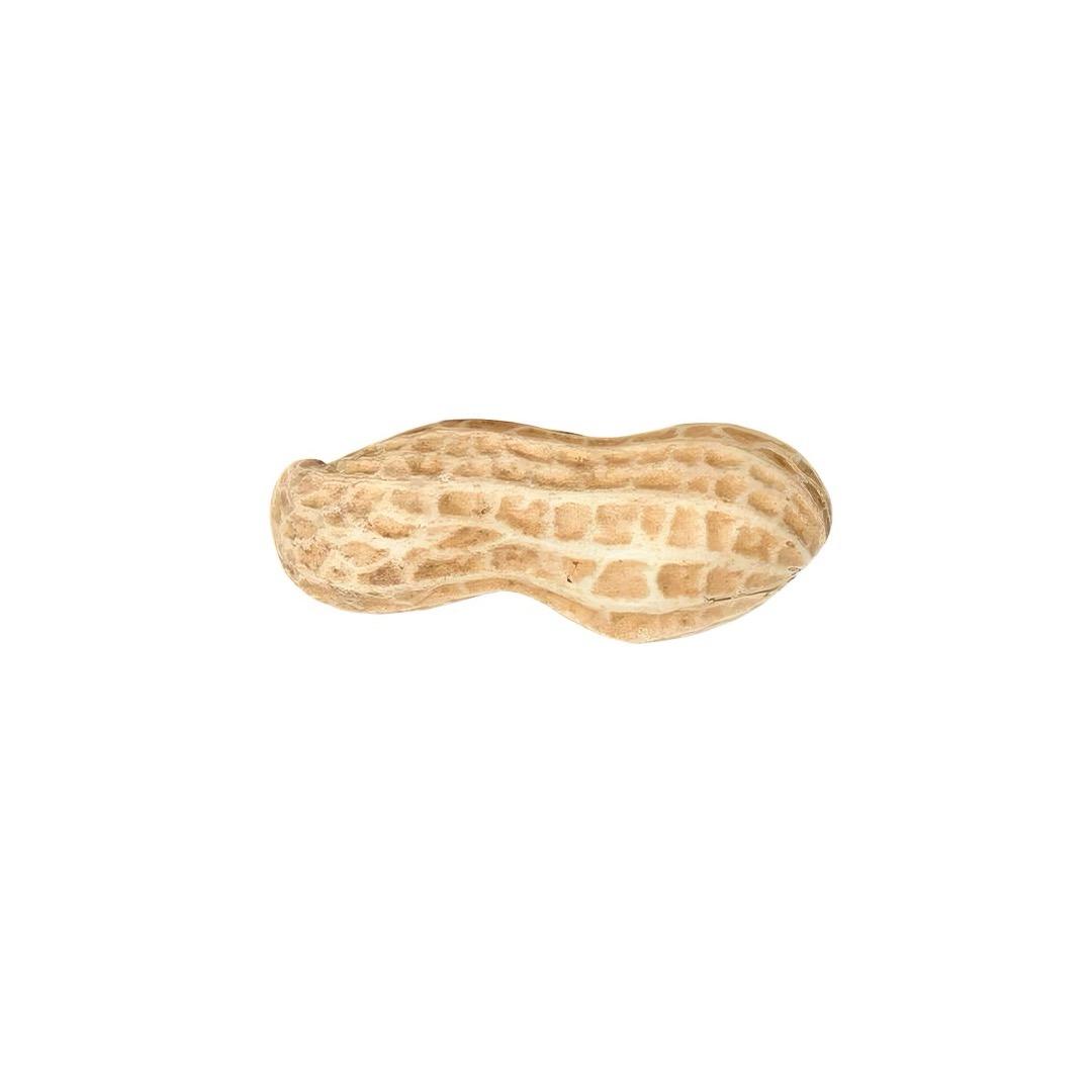 白白