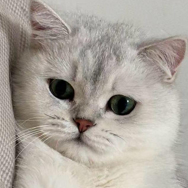 果果妈吖🌟