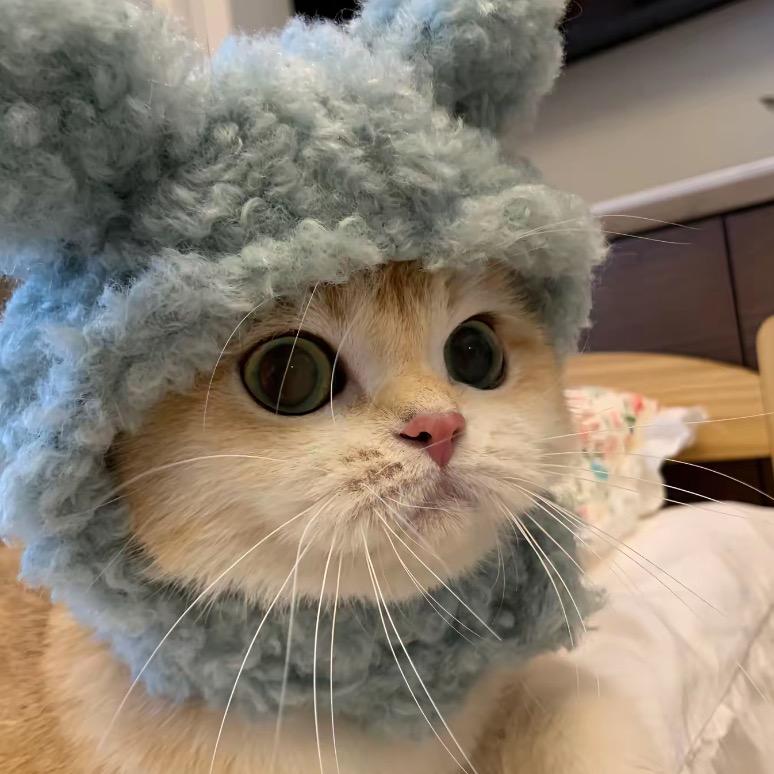 “柒