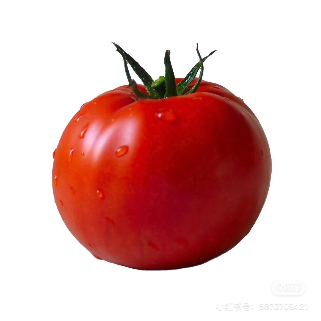 莫甘娜