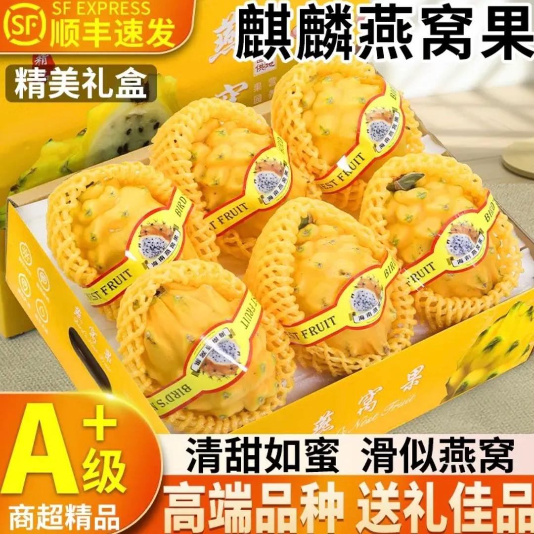 海岛高端靓果（农业）