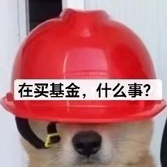 好买-养基安全员