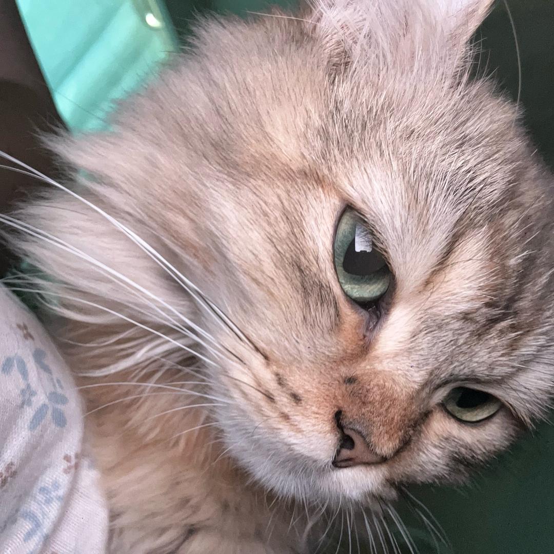 吹拉弹唱都不行