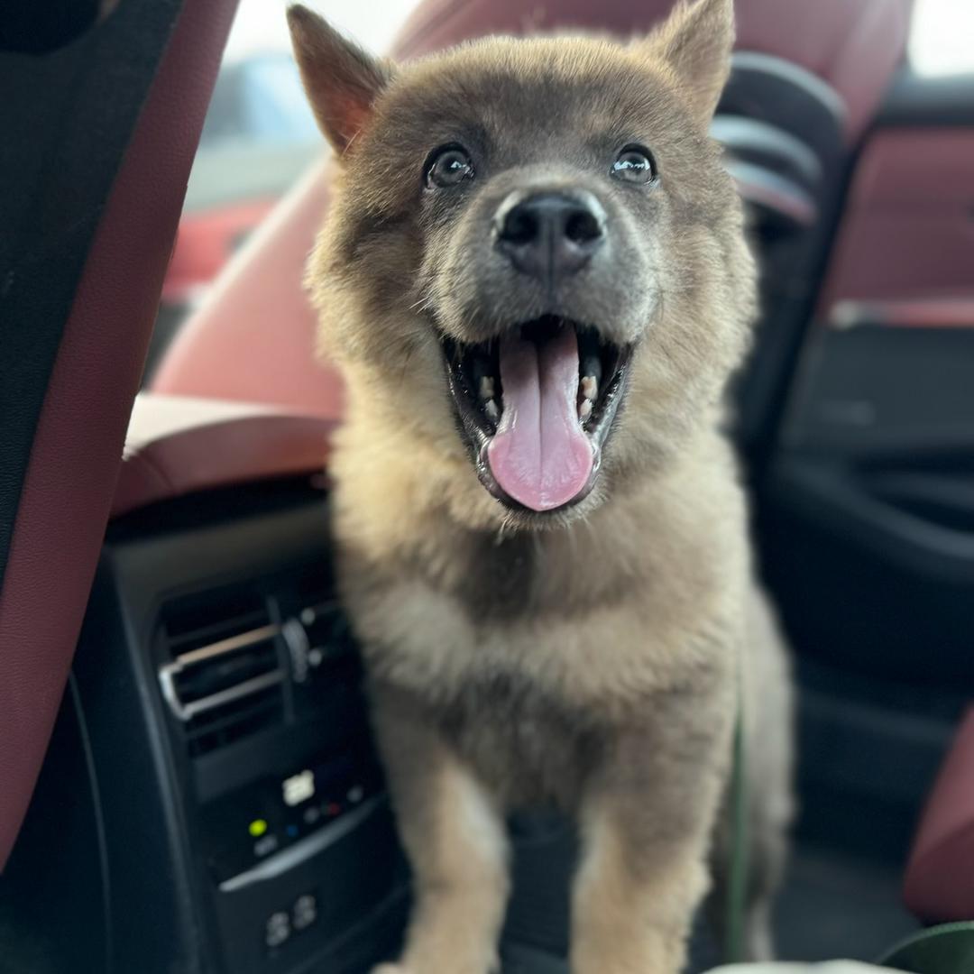 蛋卷儿的小卖部