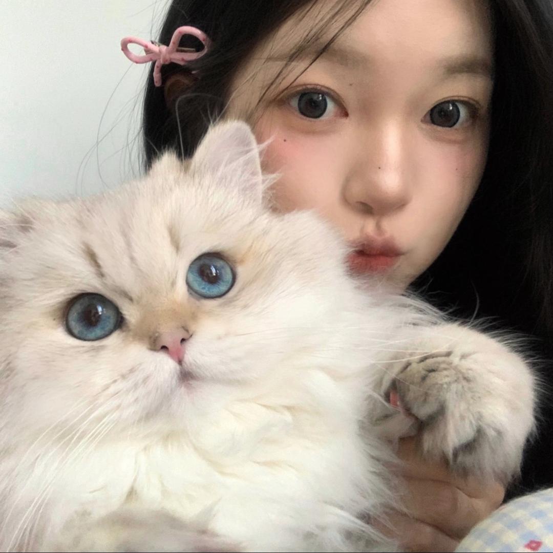 橙子.🍊