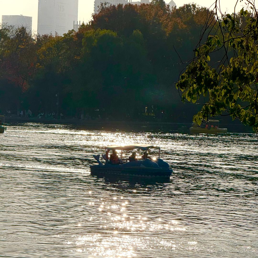 掉马了-紧急换名中