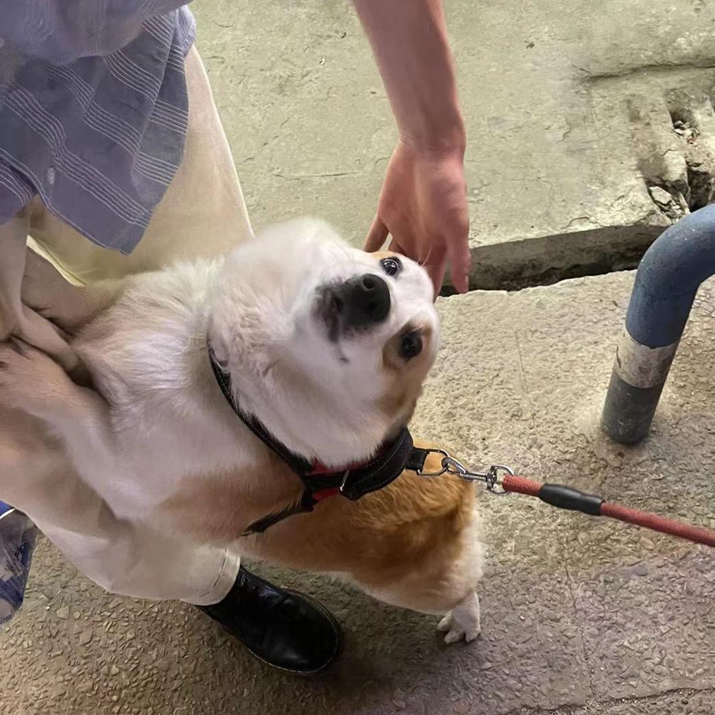 滔那个滔滔滔滔滔