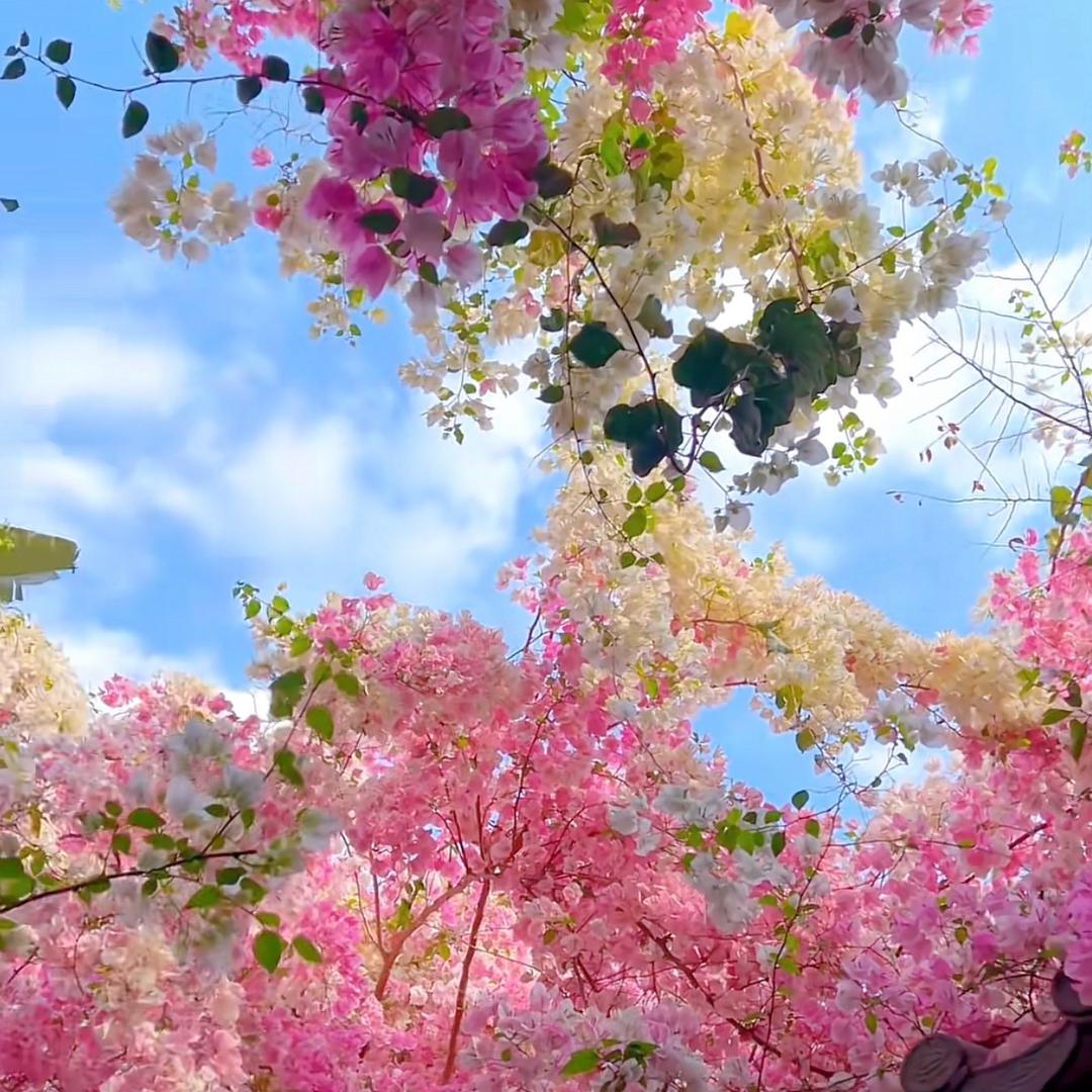 改名了（开心哈哈）