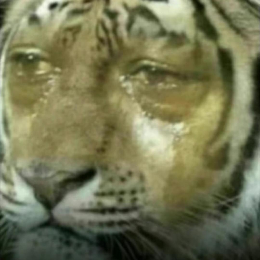 缄默