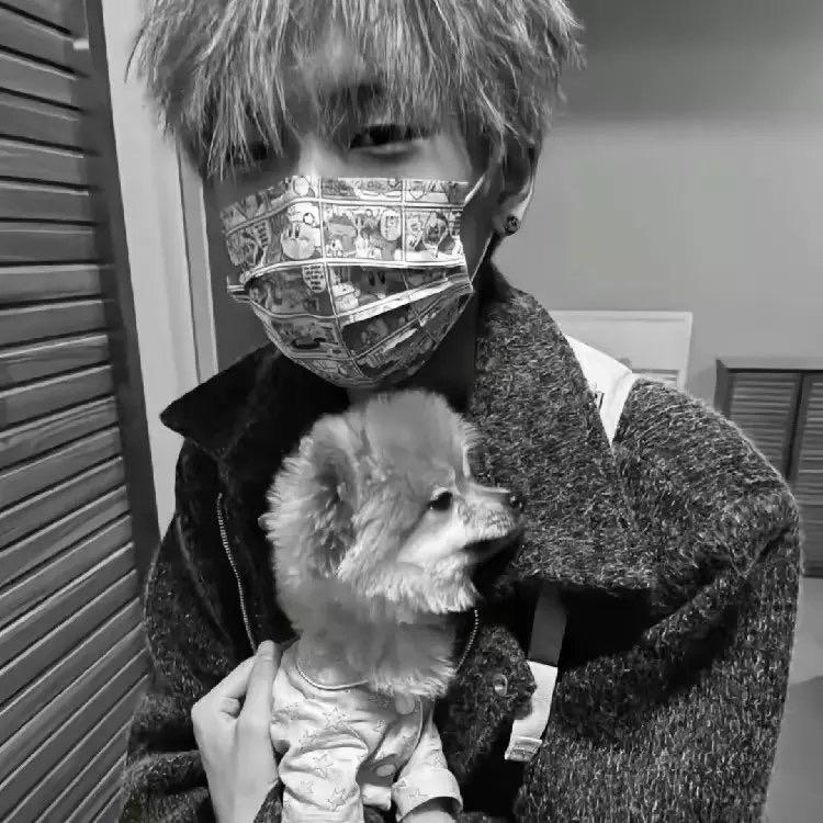 麦旋风