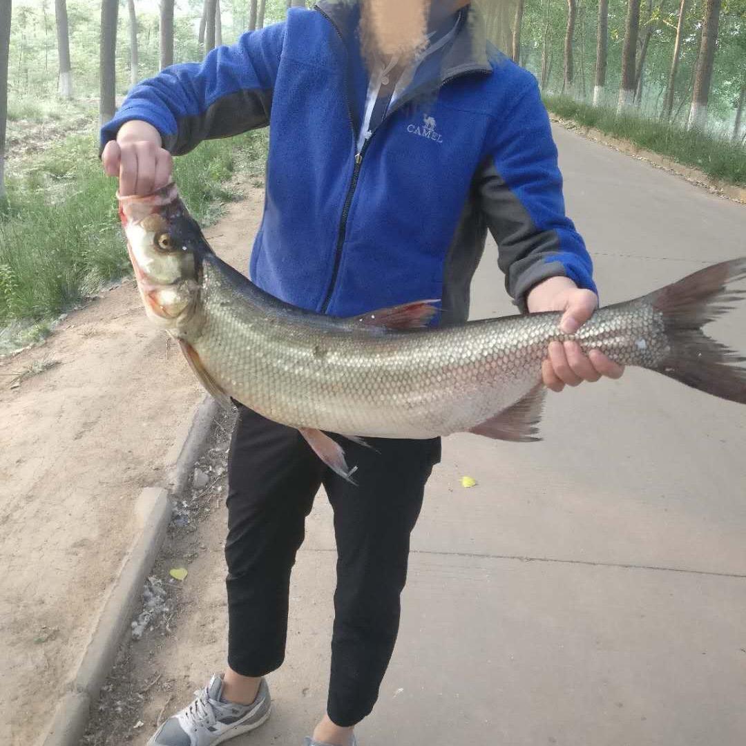 鱼🎣