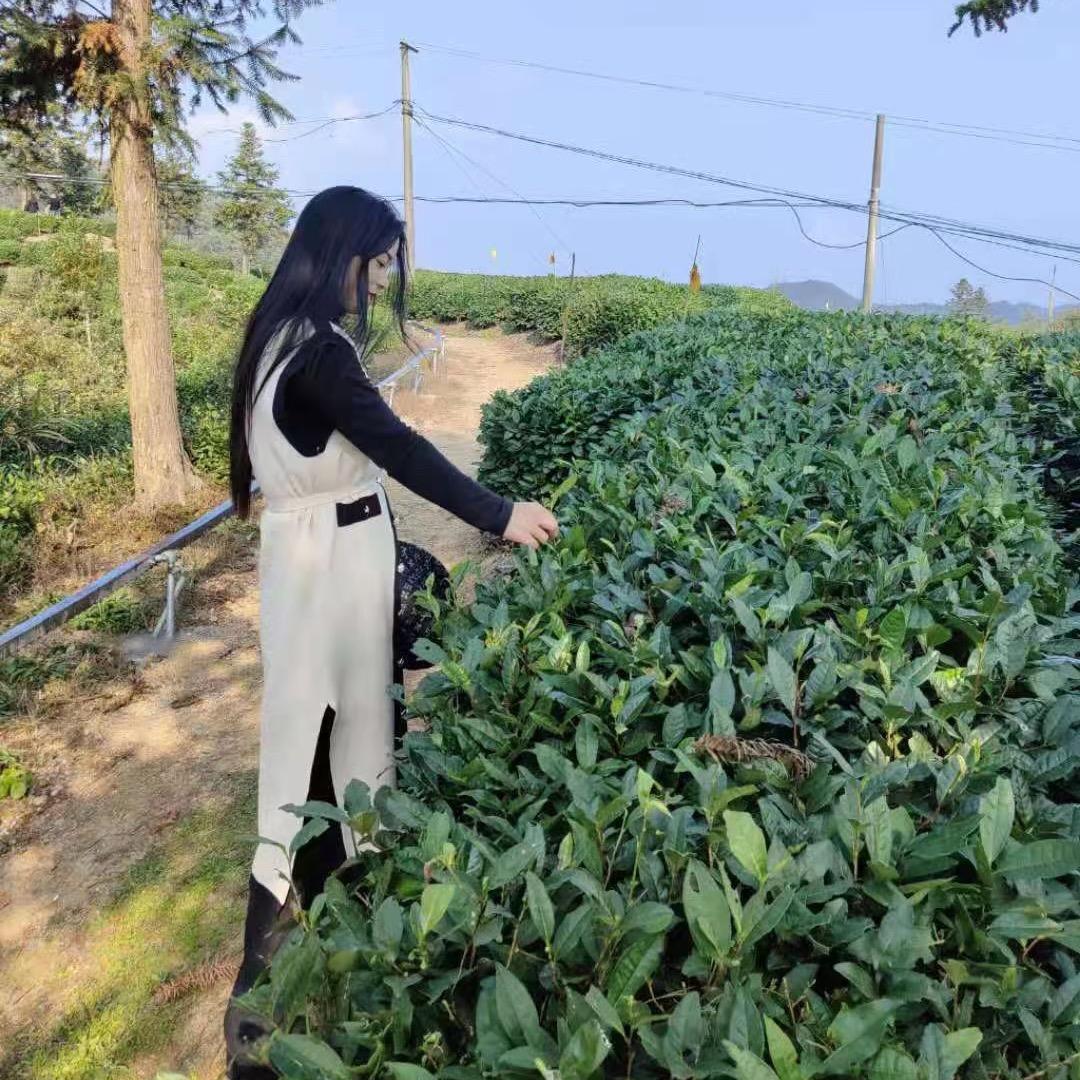 你说我是谁