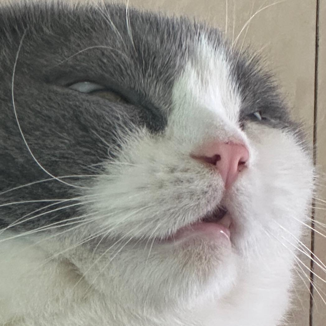 1120