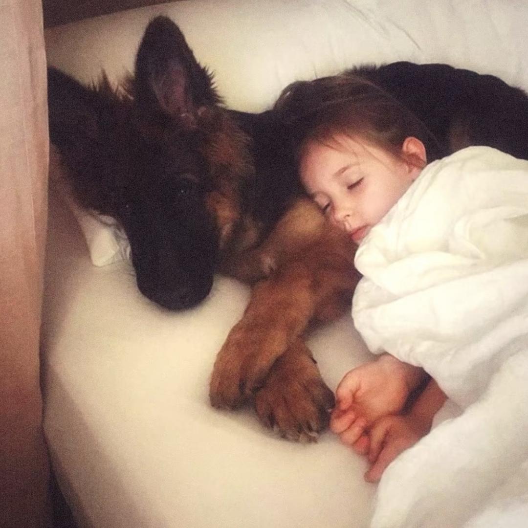 L💤