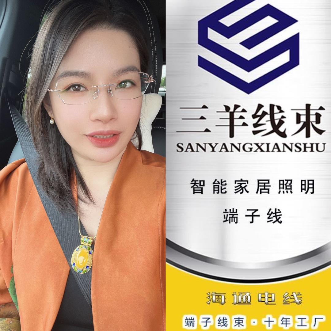 智能镜端子线 周玥