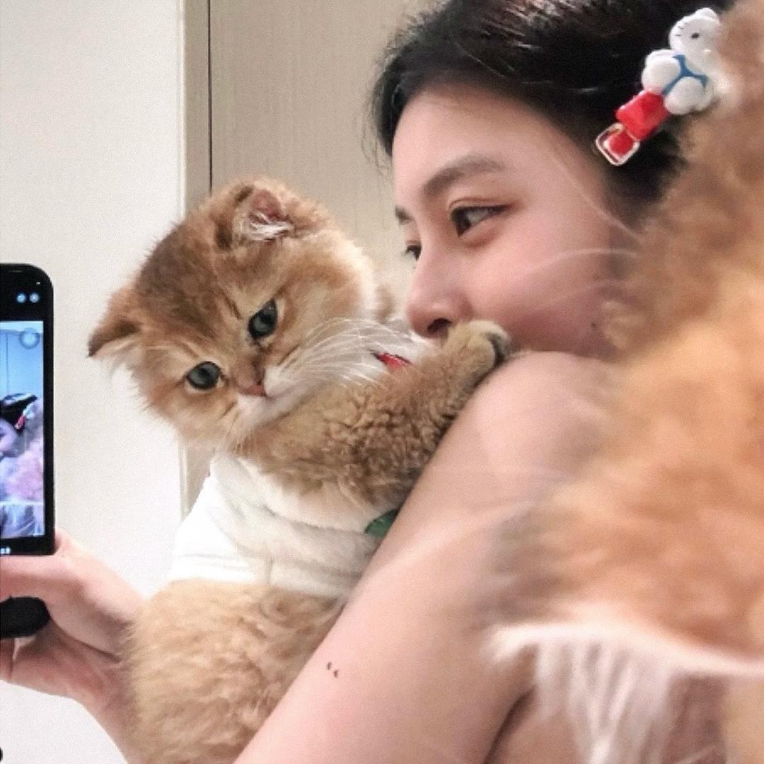 卷个泡芙吃⁺₊