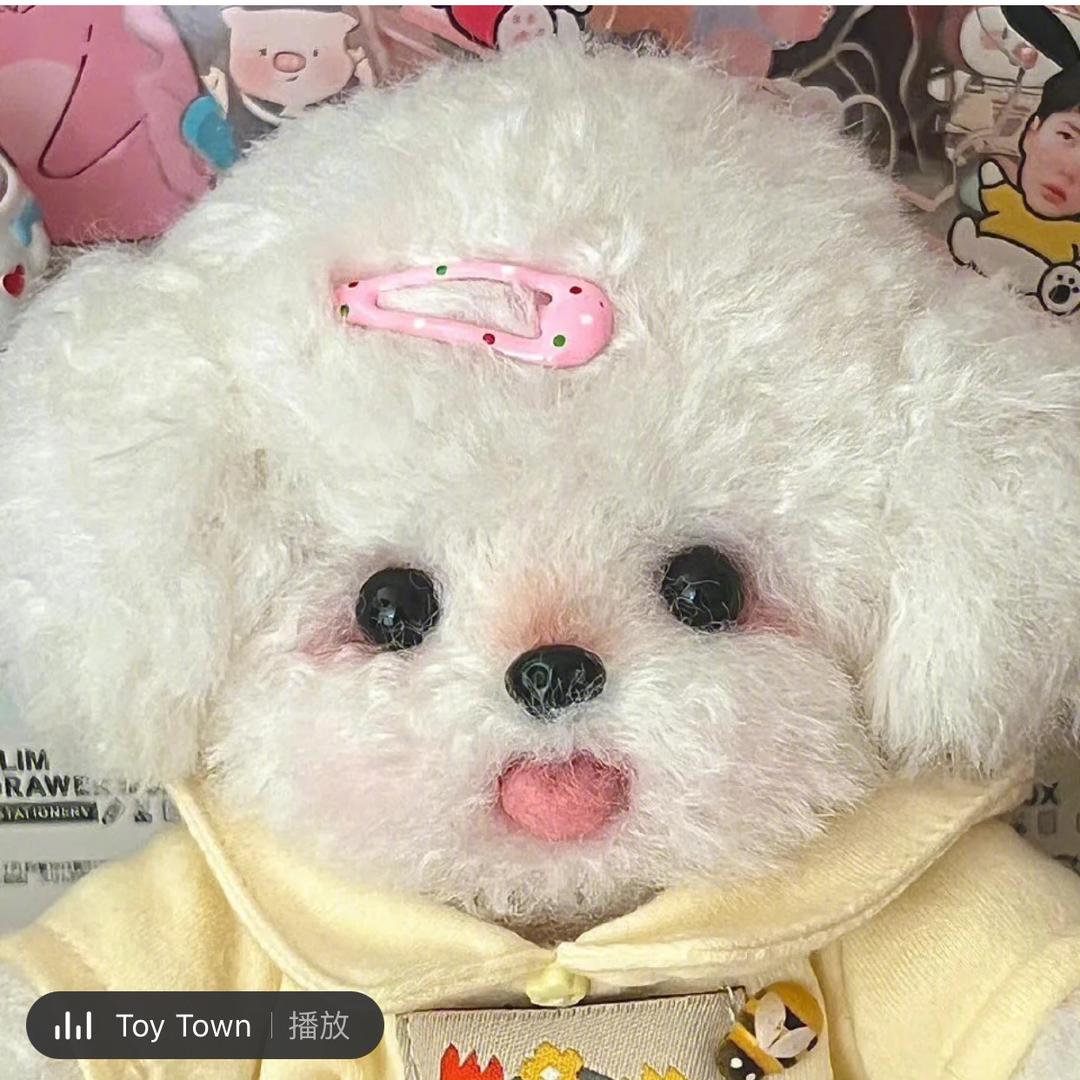 皮蛋solo粥—