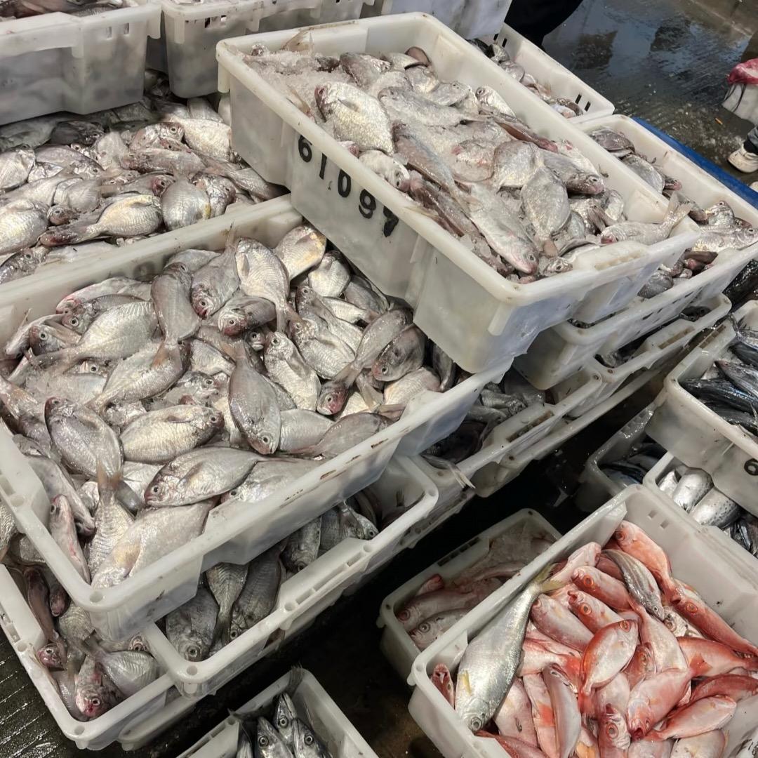 温岭石塘汐岸水产（青青海鲜）