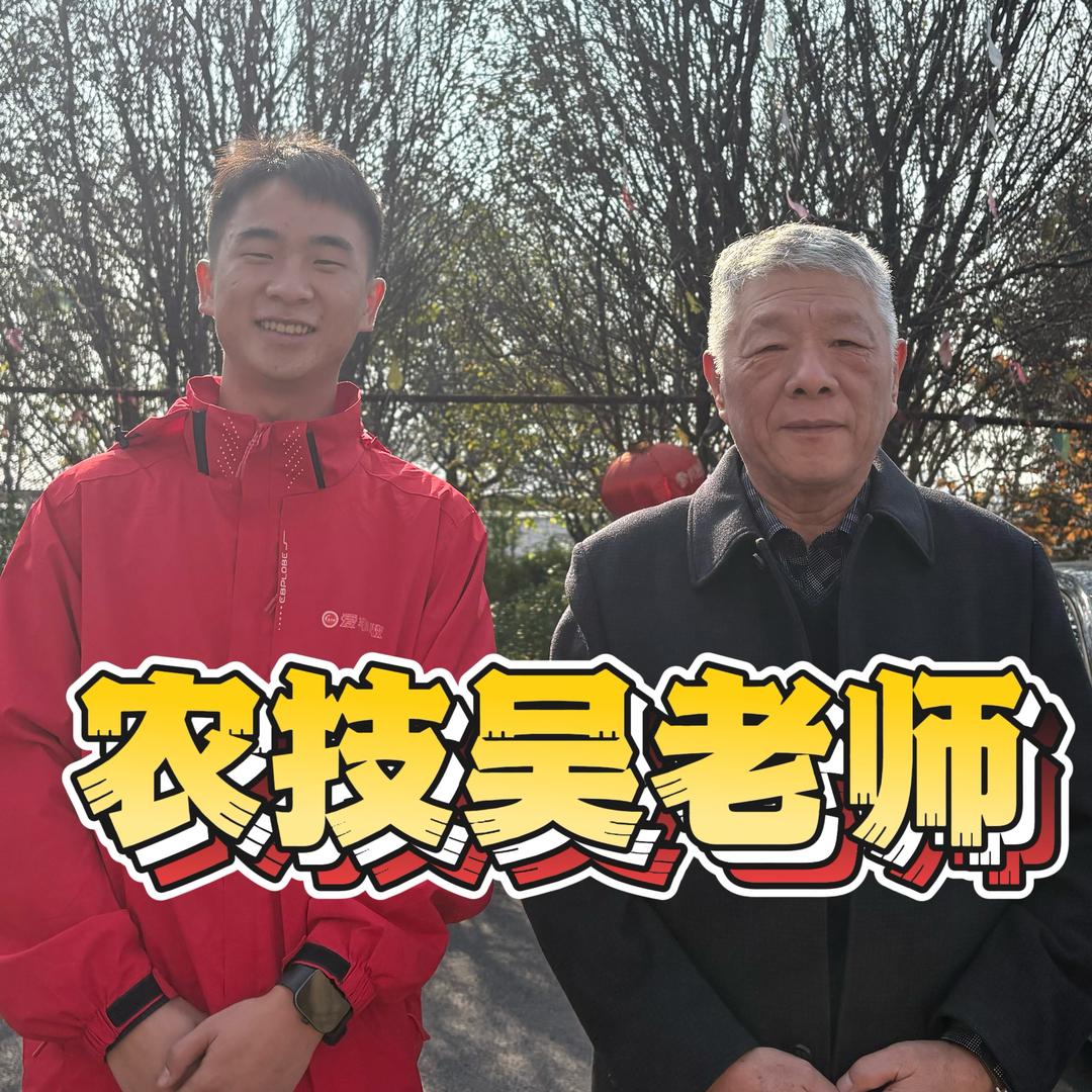 大田吴老师（诺普信）
