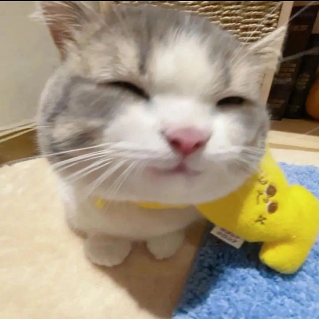 小🐑潇恩