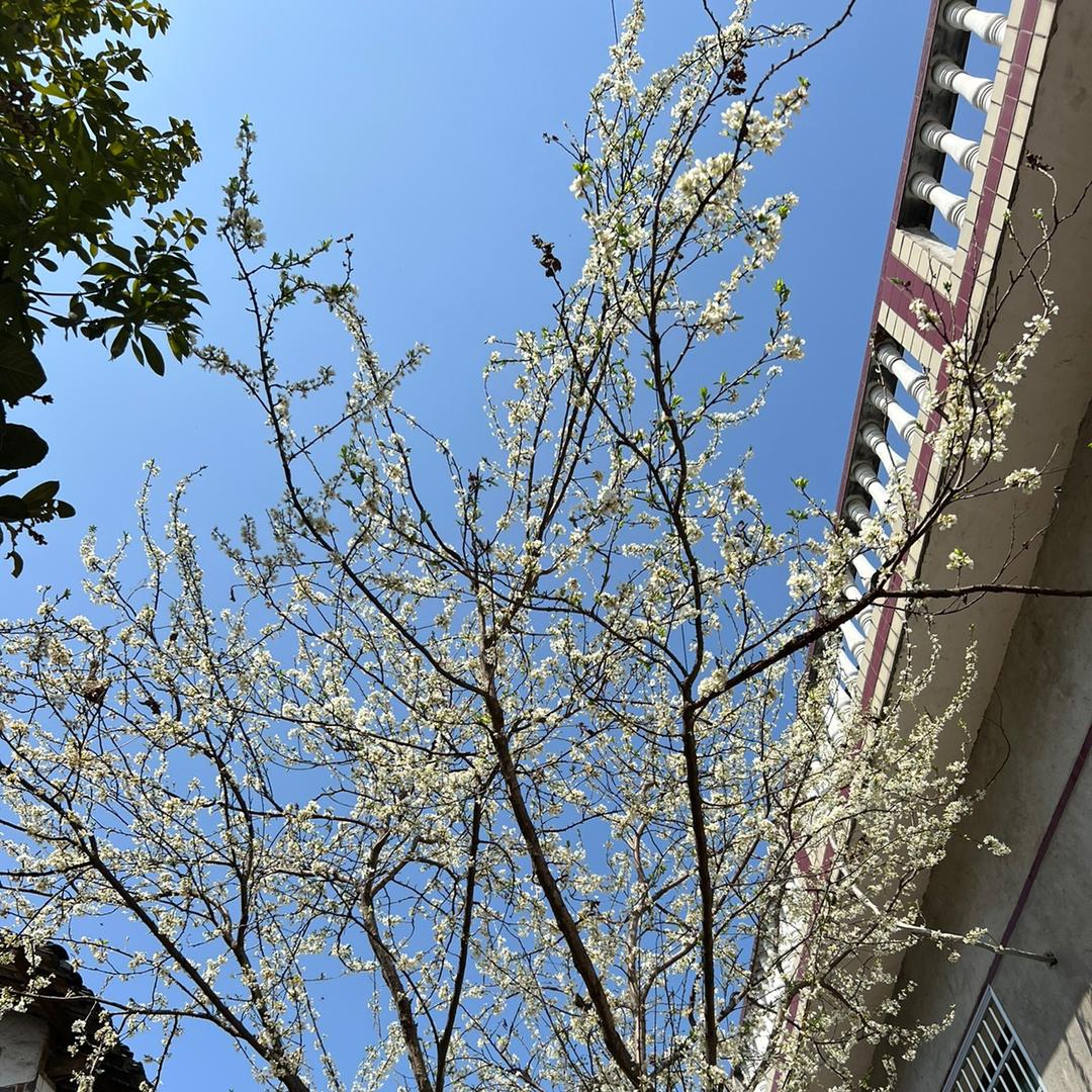 不是今天